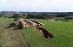 ブラジル南部モンテネグロで鳥インフルエンザが検出され、地面に穴が掘られた養鶏場=17日(ロイター=共同)