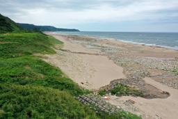 津波が海抜11・3メートルまで遡上した石川県輪島市西部の黒島地区=2024年7月(福岡教育大の岩佐佳哉講師提供)