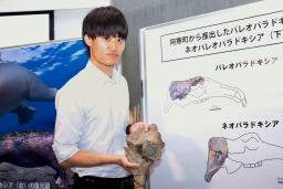 絶滅した海生哺乳類「ネオパラドキシア」の化石を手にする浅井勇馬さん=北海道足寄町