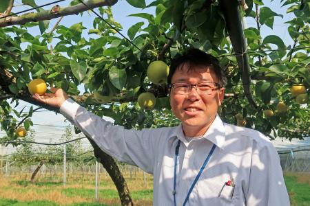 新品種のナシ「蒼月」の説明をする農研機構果樹茶業研究部門の高田教臣グループ長=5日午後、茨城県つくば市