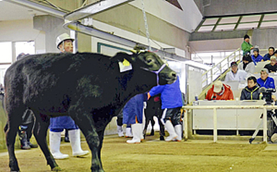 震災直後に心配された風評被害だったが、和牛競りの取引価格は高値水準を維持している＝１月１３日、本宮市・県家畜市場