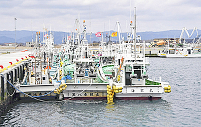 ２月２５日、約６年ぶりに請戸漁港に漁船２６隻が戻った。試験操業の海域に、原発から１０～２０キロ圏内が追加され、相馬双葉漁協請戸地区の漁業者が原発事故後、初めて本来の漁の海域に戻った。今月中旬にもコウナゴ漁を行う予定だ
