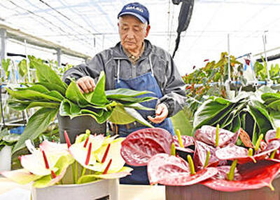 「日本一の産地化を目指していく」と決意を語る高橋さん