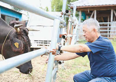 「立ち入り規制の緩和は柔軟な対応だったと思う」と話す池田さん。畜産業の本格再開へ和牛を育て続けている＝大熊町下野上