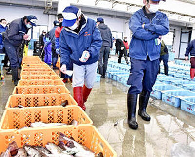 相馬沖で水揚げされた魚の競りを行う仲買人＝２０２１年２月、相馬市・相馬原釜地方卸売市場