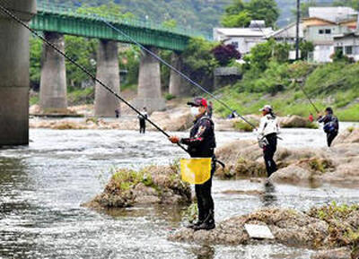 久慈川でアユ釣りを楽しむ釣り人＝２０２０年６月