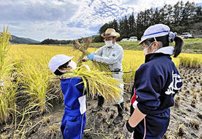 「いいたて学」の一環で、地域住民と村内で栽培された県オリジナル品種「里山のつぶ」の稲刈りに挑戦する児童ら＝２０２１年１０月