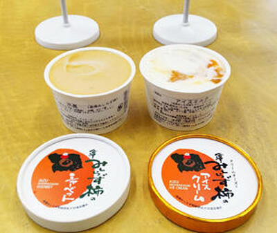 会津身不知柿を使ったシャーベット（左）とアイスクリーム