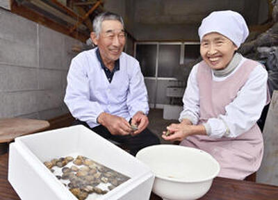 アサリを殻からむく征昭さん（左）とヤス子さん。松川浦のアサリはこれから実入りが良くなる。２人の笑顔は何にも代えがたい客へのもてなしだ（吉田義広撮影）