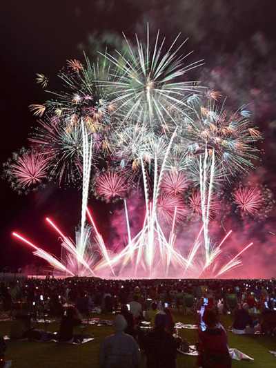 音楽とともに夜空を彩り、観客を魅了した「双葉花火」＝２８日午後、双葉町