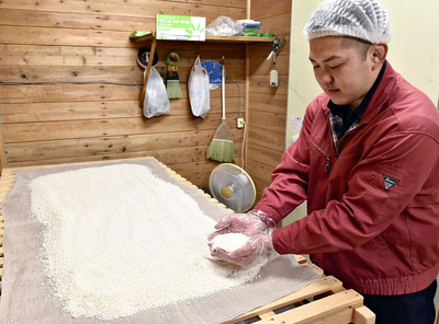 酒造りに欠かせないこうじを手にする蔵人。「伝統的酒造り」が無形文化遺産に登録される見通しとなった＝南会津町