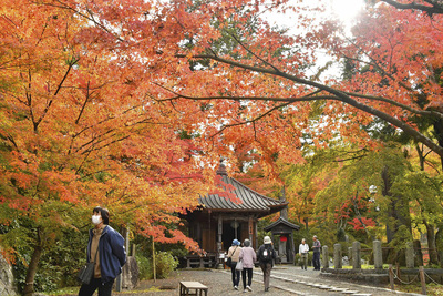 見頃を迎えた文知摺観音の紅葉