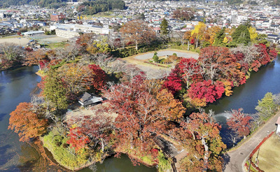 棚倉城の土塁で紅葉が進み、見頃を迎えている ＝棚倉町（ドローン撮影）