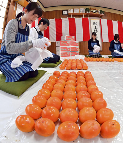 献上される会津身不知柿の箱詰め作業＝１９日午前、会津若松市