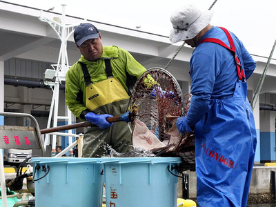 取れた魚を水揚げする石橋さん（左）。将来への不安な思いを抱え漁を続けている＝相馬市