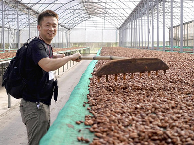 ベトナムの農園では、優れたカカオ豆の栽培状況を見てきた。カカオ豆は健康成分が多く「スーパーフード」とも言われている