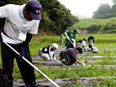 オーガニックコットンの栽培に向けた畑の整備の様子。みんなで育てることで、被災地の現状を知ってほしい