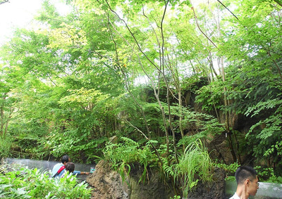 仲田種苗園が植物を納品したアクアマリンふくしまの館内