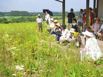会社敷地にオープンさせた「野の花ガーデンｆｕｋｕｓｈｉｍａ」。風評に負けないために新しい道を開拓し続けたい