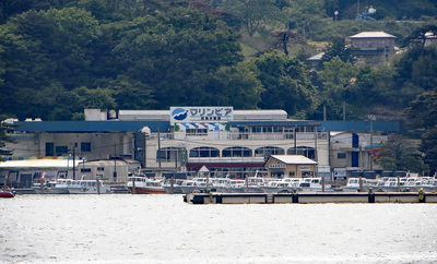 松島水族館ではさまざまなことを学ばせてもらった。当時、考えて行動したことは今でも自分の中で生きている