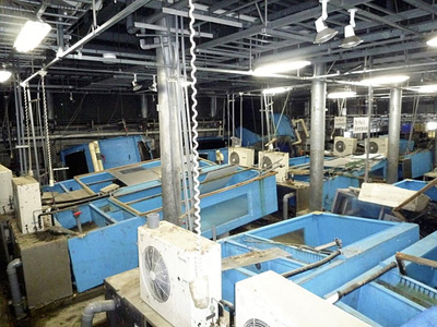 津波で被災した館内の様子。４カ月で再開にこぎ着けることができたのは、職員が一丸となって復旧作業に取り組んだからだ