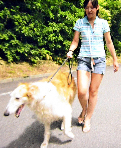 愛犬と散歩する私。動物の命を預かる責任感が育ったのは、犬の世話を経験したことが大きかったかもしれない