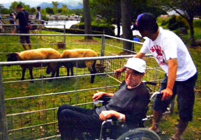 晩年は車いす生活だった信さん。動物の成長を楽しみにしていた義父の存在があったおかげで、私はヒツジと出合うことができた