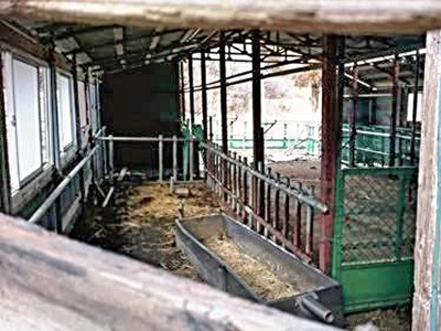 ヒツジたちがいなくなった川内村の飼育施設。動物の命を最後まで見守ることができたが、複雑な感情は今も残っている