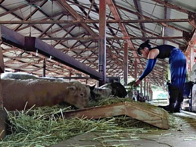 ヒツジにえさをやる私。今のような羊飼いになるためには、まず計画書を作成し、牧場経営の青写真を描かなければならなかった
