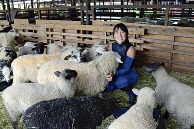 福島で生まれ育ったヒツジをブランド化したい。ヒツジの業界には「伝説の人」がいて、私も負けてはいられない