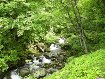 喜多方市には平成の名水百選に選ばれた「栂嶺渓流水」がある。おいしい水が、喜一をはじめとした喜多方ラーメンや、日本酒造りを支えている