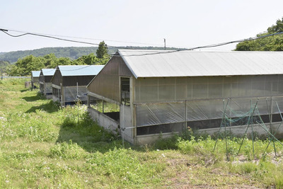 会津坂下町で購入した土地に手作りで鶏舎を建てた。経費を抑えるためにできることをした
