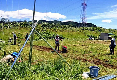 県外のホップ栽培の現場。地ビール用にホップを売ってほしいとお願いしても、初めのうちは断られることが多かった