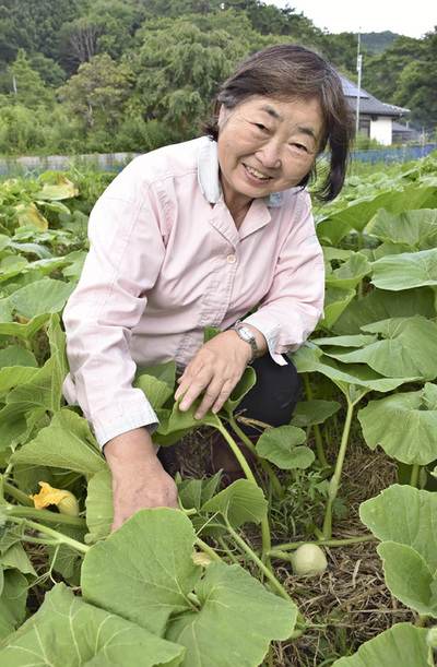 いいたて雪っ娘の栽培に汗を流す私。いいたて雪っ娘とともに歩んできた人生はとても一言では言い尽くせないほどの出来事があった
