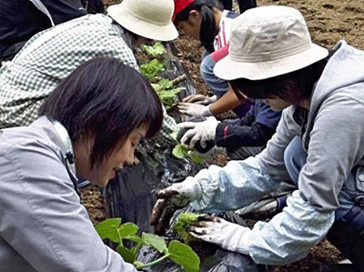 までい工房が募集したいいたて雪っ娘を栽培する「かぼちゃ植え隊」のメンバーら。それぞれがいいたて雪っ娘に愛着を持って育ててくれたのが印象的だった