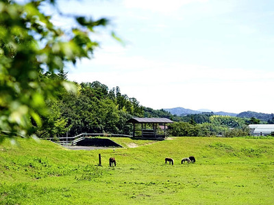 東京ドーム約三つ分の広大な敷地に共生事業チルコロの拠点がある。ワイン用のブドウの栽培、高齢者の入所施設、グループホームなどがある
