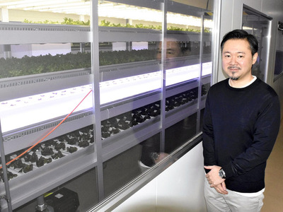 ＡＭＬ植物研究所で働く私。１年前までは農業とは無縁の人生だった