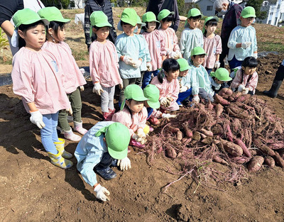 金山保育園のサツマイモ収穫体験。草刈りなどの事前準備は大変だが、子どもたちの喜ぶ姿は私にとって最高の報酬だ