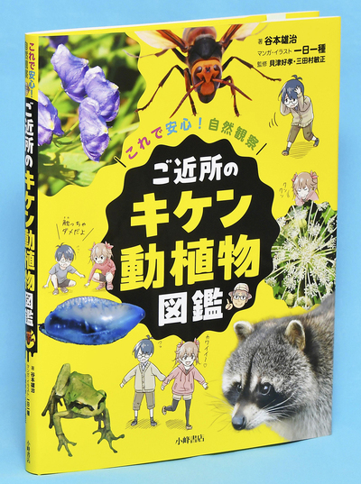 小峰書店・５７２０円
