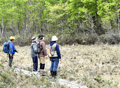 山開きした駒止湿原を散策するハイカー