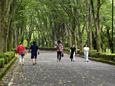 再開園した公園東側エリアを散策する人たち＝３０日、福島市・あづま総合運動公園