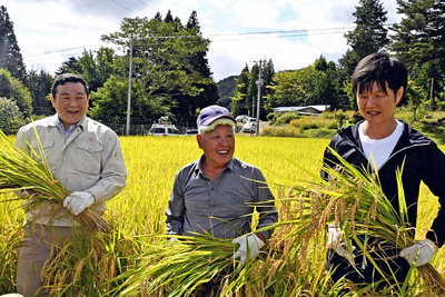 黄金色に染まった田んぼで待望の稲刈りをした庄司さん（中央）と杉岡村長（左）、鈴木復興副大臣＝飯舘村長泥地区