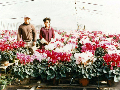 育てた花と私の両親。家族が農業をしていたことが私の進路を決めるきっかけになった