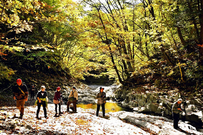 葉が赤や黄色に色づき始めた中津川渓谷＝２３日午前、猪苗代町・北塩原村