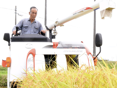 節水型乾田直播栽培で育てた稲を収穫する佐藤さん=鏡石町