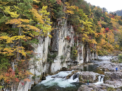 伊南川沿いにそそり立つ白い岩肌を彩る紅葉=29日午前、南会津町大桃・屏風岩(ドローン撮影)