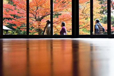 鮮やかに色づき、見頃を迎えている紅葉と水月庵の「床もみじ」＝福島市、文知摺観音・普門院