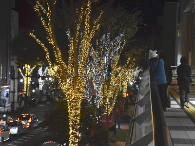 いわき駅前を彩るイルミネーション＝１５日午後５時４０分ごろ、いわき市