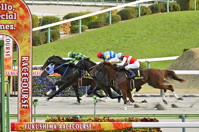 ゴール前の接戦を制したポッドロゴ（奥から２頭目） ＝１６日午後、福島市・ＪＲＡ福島競馬場