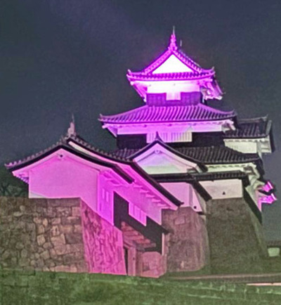 「世界早産児デー」に合わせて紫色にライトアップされている小峰城